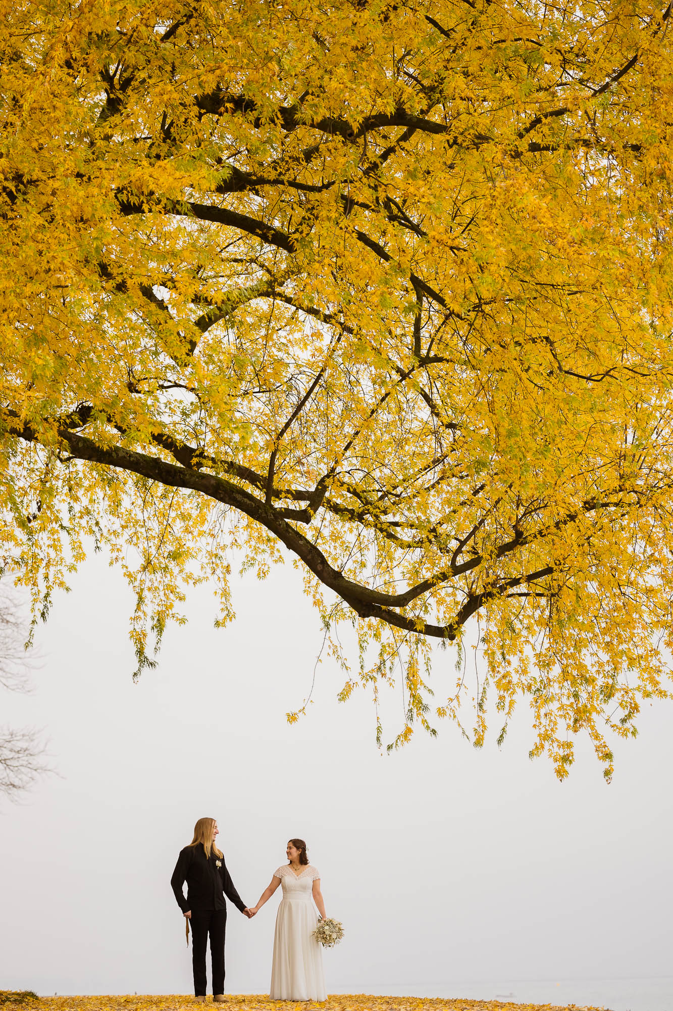 Export x3 1DX29364 Hochzeit 2020 Monika & Sharru